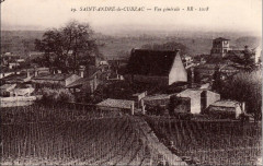 Saint-André-de-Cubzac - vue générale -
													33 Gironde
												