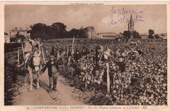 Saint-Emilion château Clos Fourtet