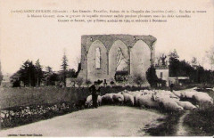 Saint-Emilion Grande Muraille 2