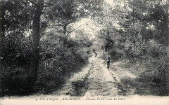 Arcachon - Forêt route de Pilat 2 -
													33 Gironde
												
