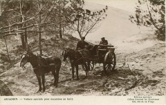 Arcachon - Forêt voiture à sables 3 -
													33 Gironde
												