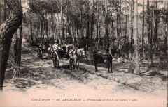Arcachon - Forêt voiture à sables 6