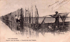 Arcachon - travail au parc aux huitres 13