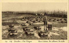 Arcachon - parc aux huitres 8