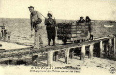 Arcachon - travail à terre 4