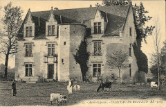 Aubie-et-Espessas - château Bouffaud 3