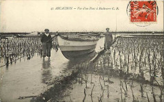 Arcachon - parc aux huitres 5