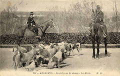 Arcachon - Chasse à courre 3