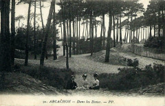 Arcachon - Forêt dunes 16