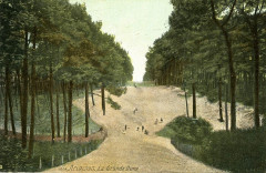 Arcachon - Forêt dunes 5