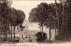Arcachon - Forêt dunes 6a -
													33 Gironde
												