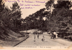 Arcachon - Forêt route de Moulleau 6