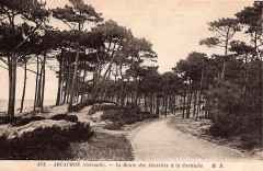Arcachon - Forêt route des Abatilles 2 -
													33 Gironde
												