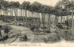 Arcachon - Forêt route des Abatilles 4