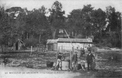 Cabane du resinier