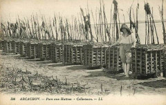 Arcachon - parc aux huitres 13