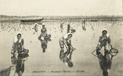 Arcachon - travail au parc aux huitres 25