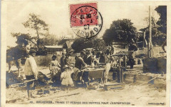 Arcachon - travail de triage 5 -
													33 Gironde
												