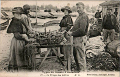 Arcachon - travail de triage 7 -
													33 Gironde
												