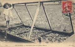 Arcachon - travail à terre 1