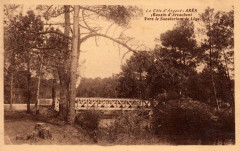 Arès - Fondation Wallerstein 45