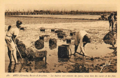 Arès - Ostréiculteurs 11