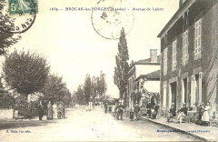 Avenue de labrit -
													33 Gironde
												