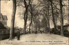 Luxey - Avenue de Labrit