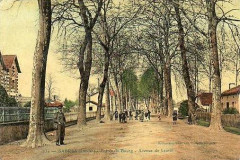 Sabres - avenue de Labrit