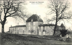 Saint-Léger-de-Vignague - Château Madaillan