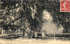 Saint-Morillon - Domaine de Courrens 2
