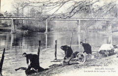 Salles - La leyre 2 -
													33 Gironde
												