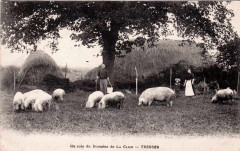 Tresses - domaine de la Clide -
													33 Gironde
												