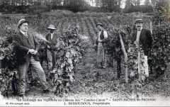 Saint-Michel-de-Fronsac – château Canon 2