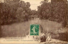 Salles - La leyre 3 -
													33 Gironde
												