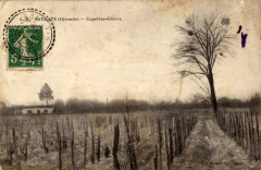 Saucats - Capel-les-Graves -
													33 Gironde
												