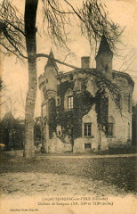 Savignac-de-l'Isle - château 1 -
													33 Gironde
												