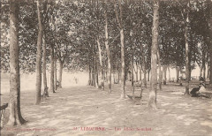 Libourne allées Souchet 4