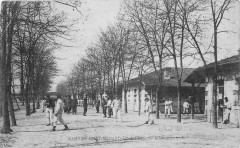 Smj-allée principale -
													33 Gironde
												