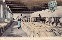 Pauillac - château Lafite 5