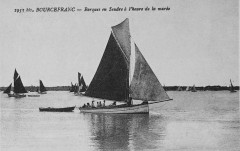 BourCefranc 1004046 -
													17 Charente Maritime
												