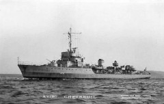 Chevreuil553 001