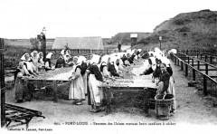 Carte postale ancienne Femmes des Usines mettant leurs sardines à sécher
                                                                     à Port-Louis
                                