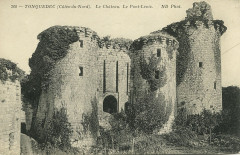 Carte postale ancienne Tonquedec-Le Chateau le Pont Levis
                                                                     à Tonquédec
                                