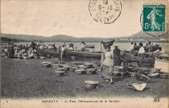 Hendaye - port de peche