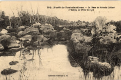 Ménard L 103 Forest of Fontainebleau