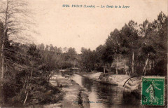 Pissos (Landes) - Bords de la Leyre 1