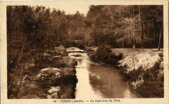 Pissos (Landes) - Bords de la Leyre 3