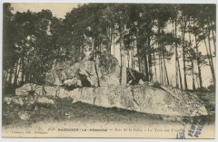 4648. Bazouges-la-Pérouse. Bois de Balca. Le Trou aux Fées