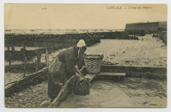 536   Cancale.- Lavage des Huîtres